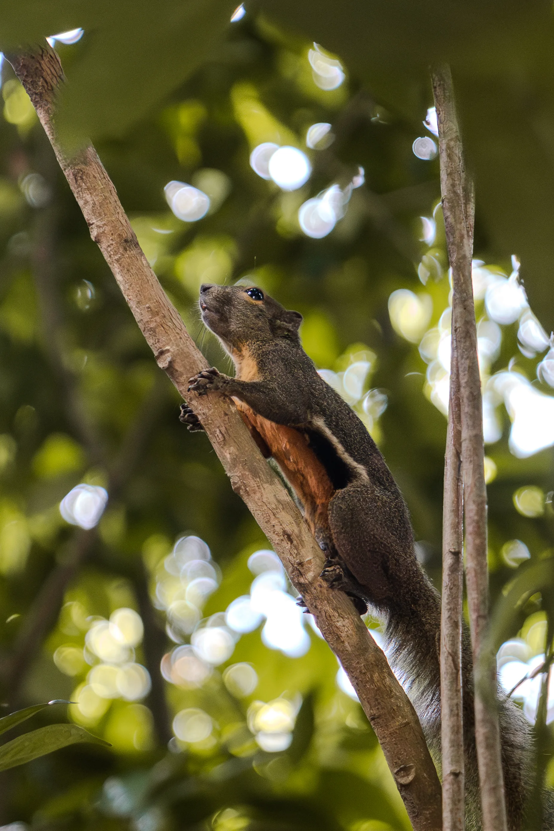 Singapore, photograph 3 of 6